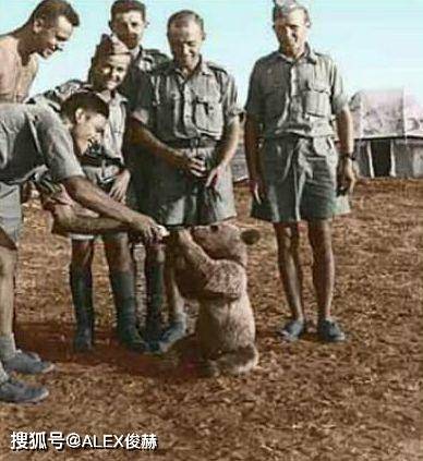  那不勒斯青年军崛起掀翻传统豪门  